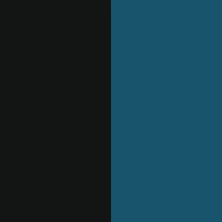 Black/Teal