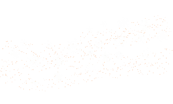 Знижки під ялинку