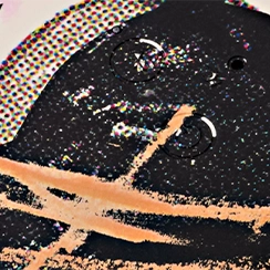 New Year Edition 2026 - Multicolor