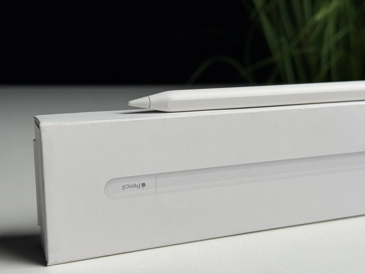 OPEN BOX Apple Pencil [USB-C] (MUWA3) - Стан: ідеальний | Акумулятор: 100% | Комплектація: повний | Гарантія: 3 міс.