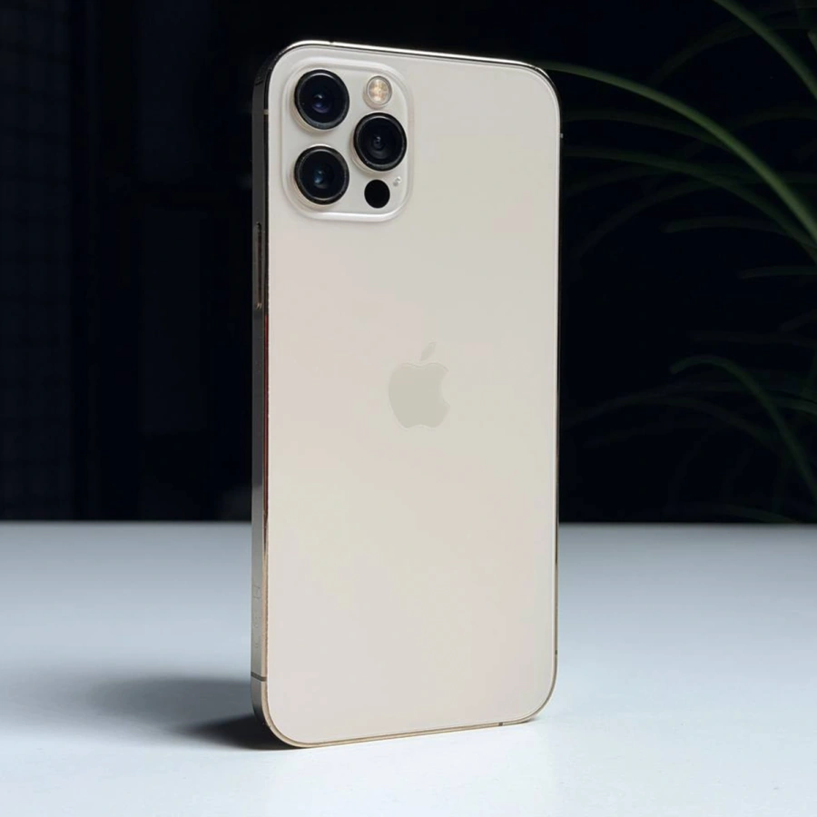 ВЖИВАНИЙ Б/У Apple iPhone 12 Pro 256GB Gold (MGLV3, MGMR3) - Стан: гарний | Акумулятор: 100% | Комплектація: iPhone, кабель | Гарантія: 3 міс.