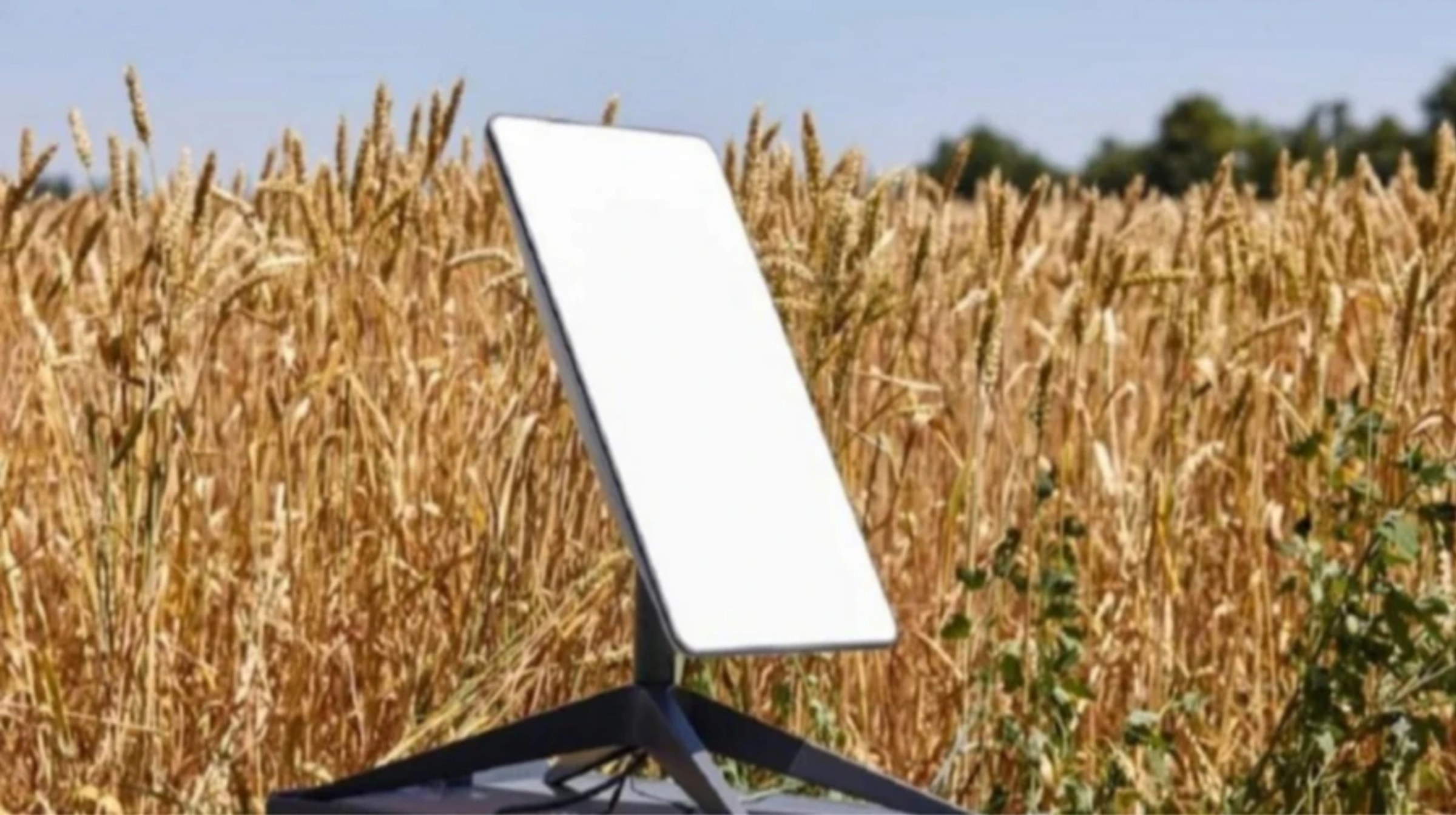 Верификация Starlink в Украине: инструкция для всех категорий пользователей