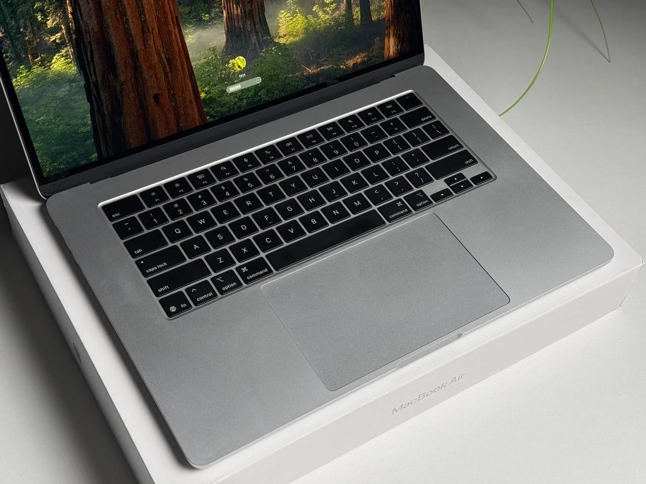 ВІТРИННИЙ MacBook Air 15" 2025 M4/10CPU/10GPU/32GB/1TB Silver (Z1DB000G6) - Стан: ідеальний | Акумулятор: 100% | Комплектація: повний | Гарантія: 3 міс.