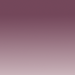 Prizm Transitions Ember