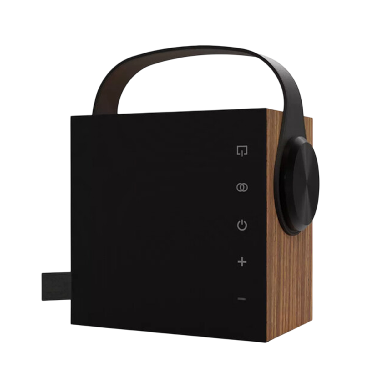 Портативна Hi-Fi колонка Morel BIGGIE - Oak Wood (1C103057)