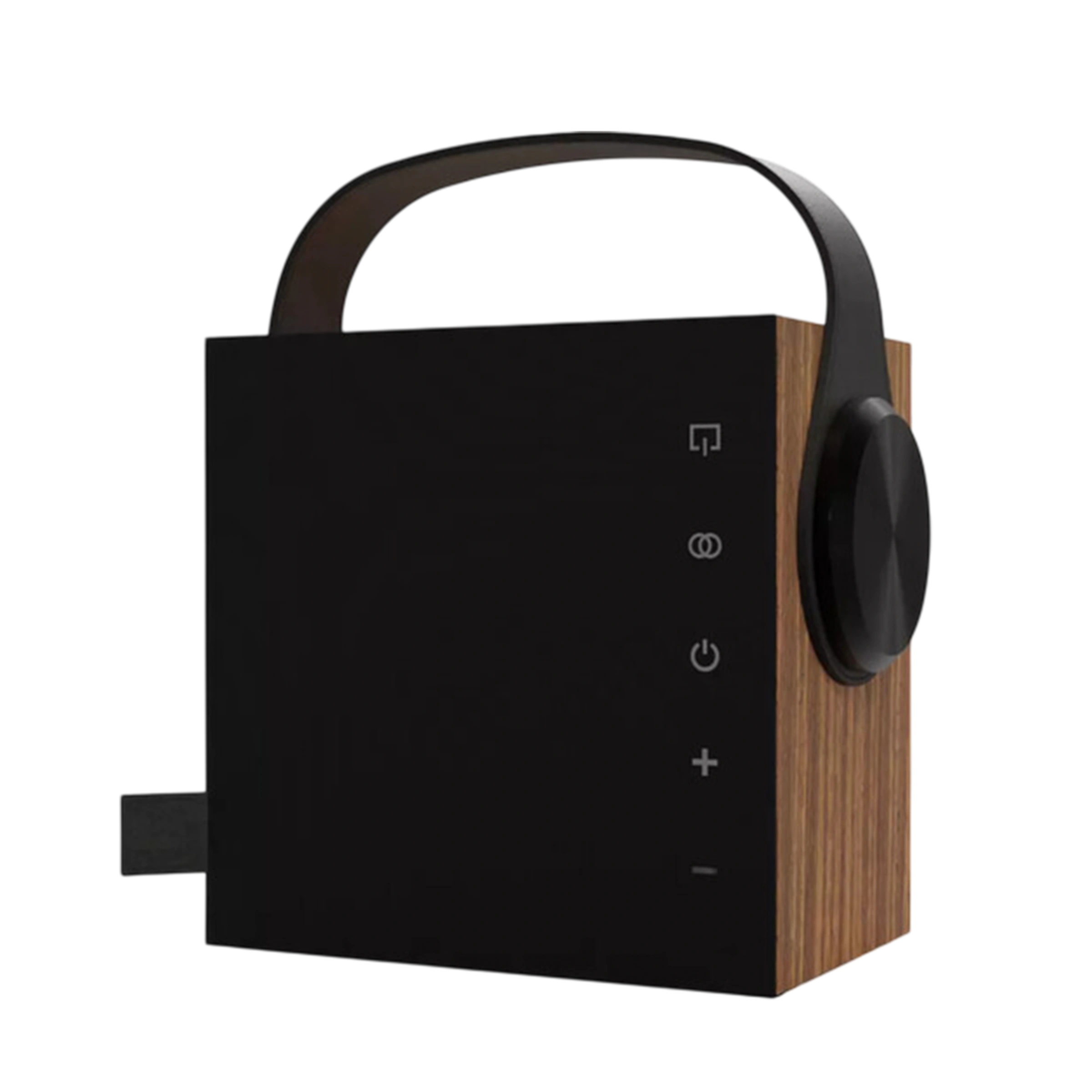 Портативна Hi-Fi колонка Morel BIGGIE - Oak Wood (1C103057)