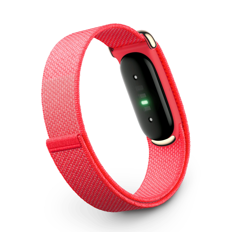 Фитнес-трекер Google Fitbit Air - Berry