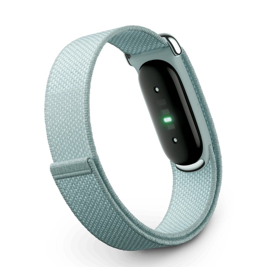 Фитнес-трекер Google Fitbit Air - Fog