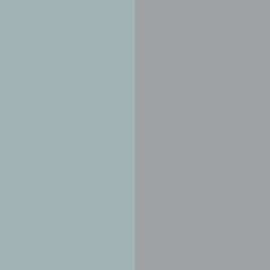 Fog / Polished Silver