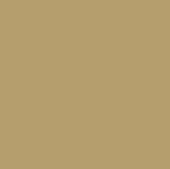Nutria Brown