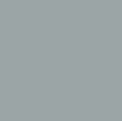 Pond Gray
