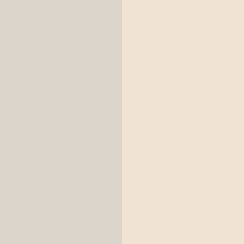 Porcelain / Polished Champagne Gold