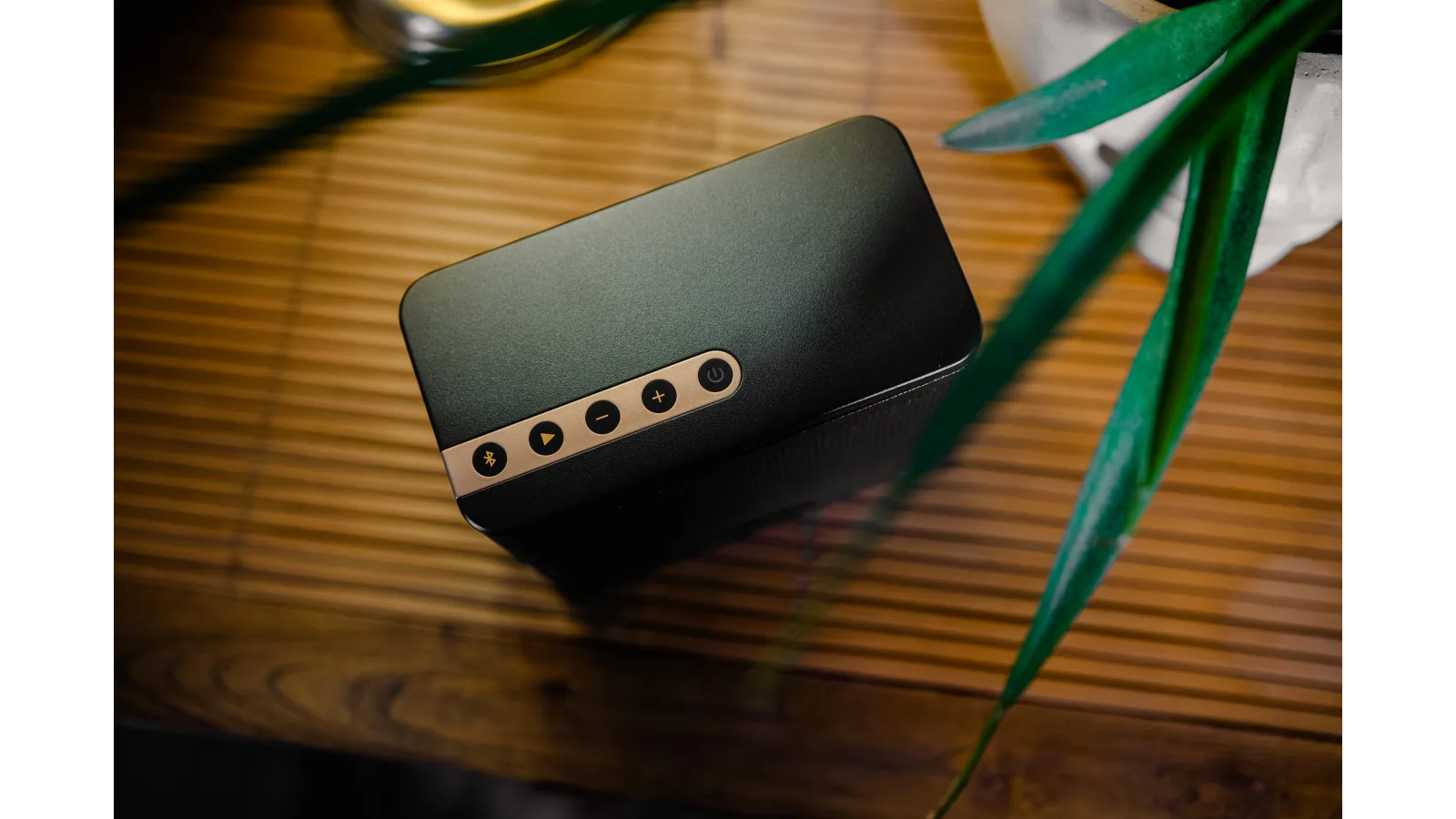 Портативна Hi-Fi колонка ELAC NAVA100 - Black (NAVA100-BK)