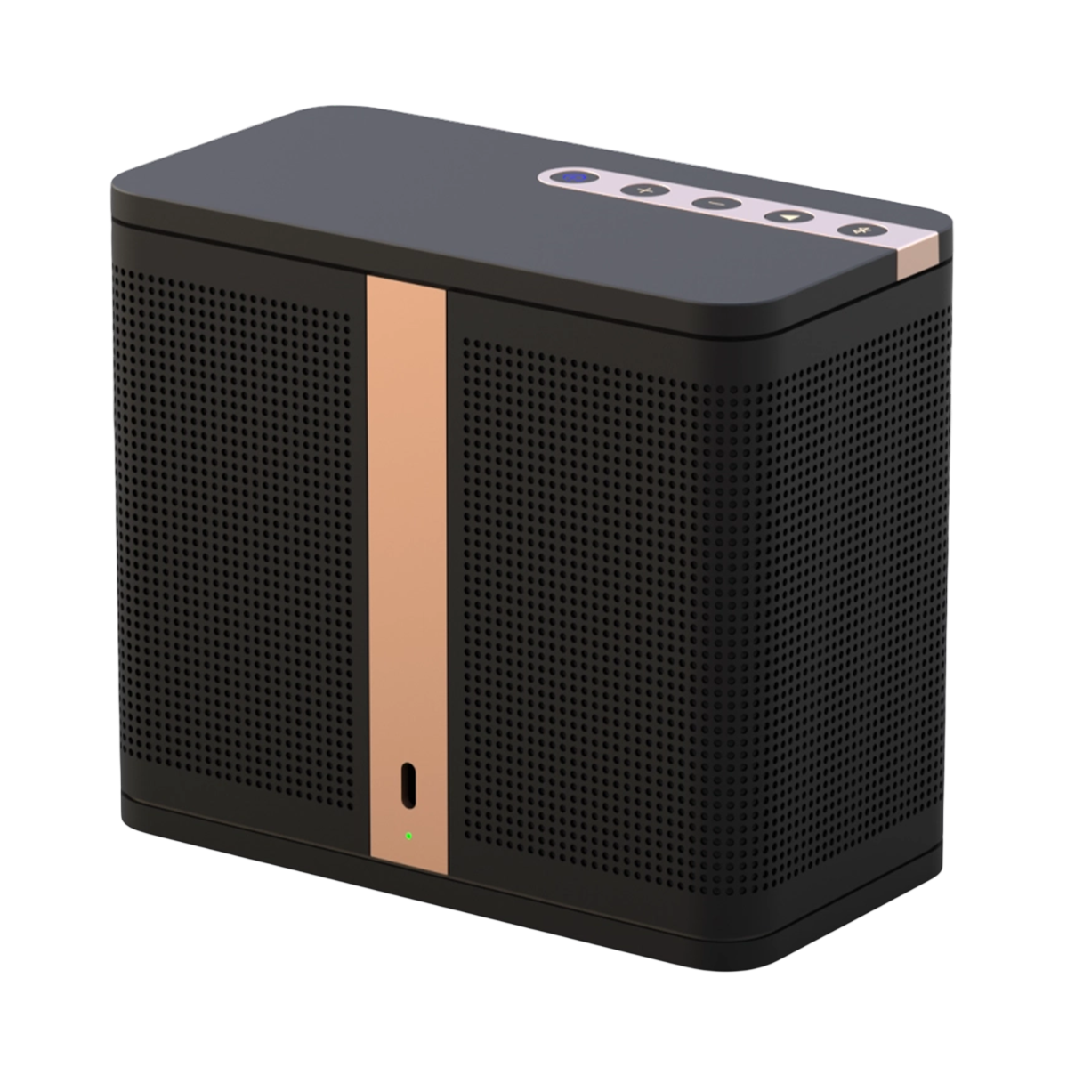 Портативна Hi-Fi колонка ELAC NAVA100 - Black (NAVA100-BK)
