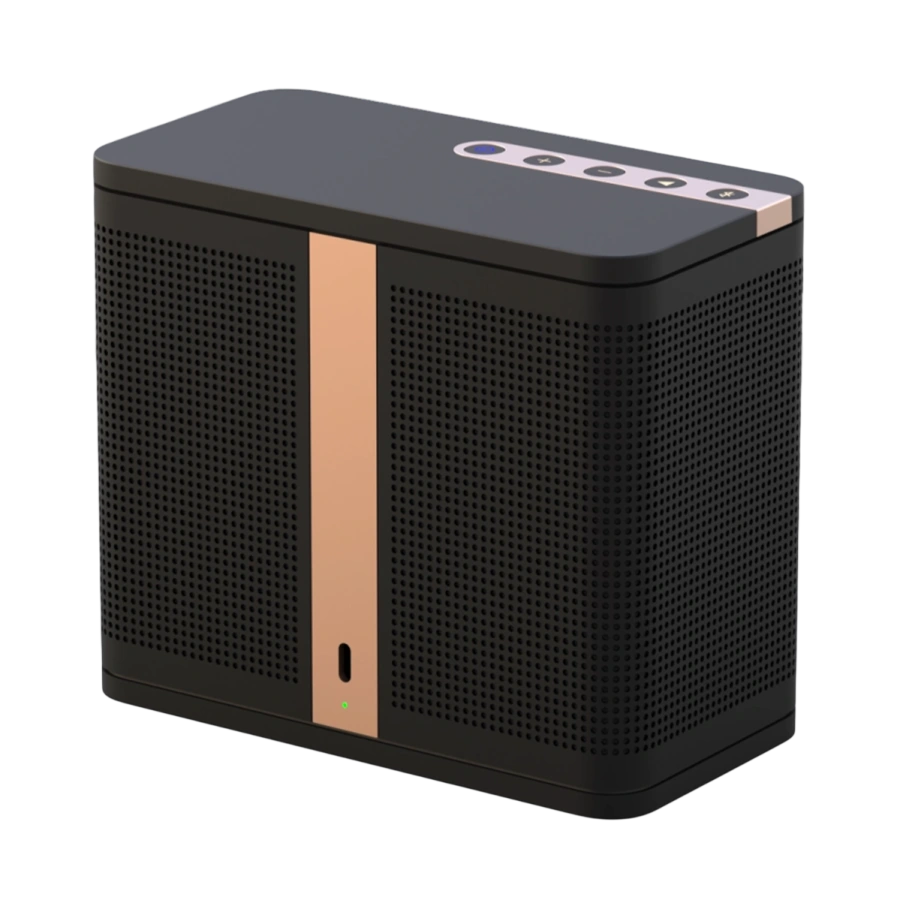Портативна Hi-Fi колонка ELAC NAVA100 - Black (NAVA100-BK)