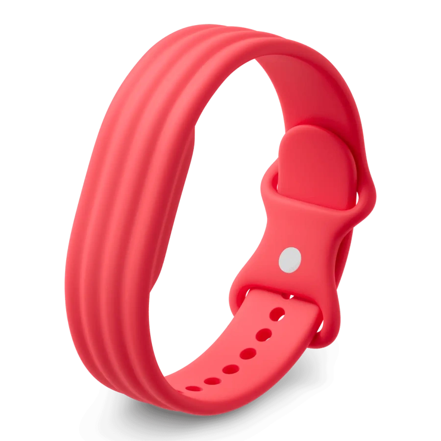 Ремешок Google Active Band [Large] для Fitbit Air - Berry (GA11075-WW)