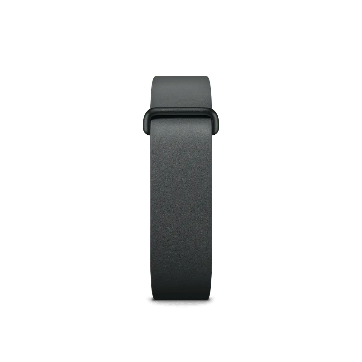 Ремешок Google Elevated Modern Band для Fitbit Air - Obsidian / Matte Black Stainless Steel Clasp (GA11078-WW)