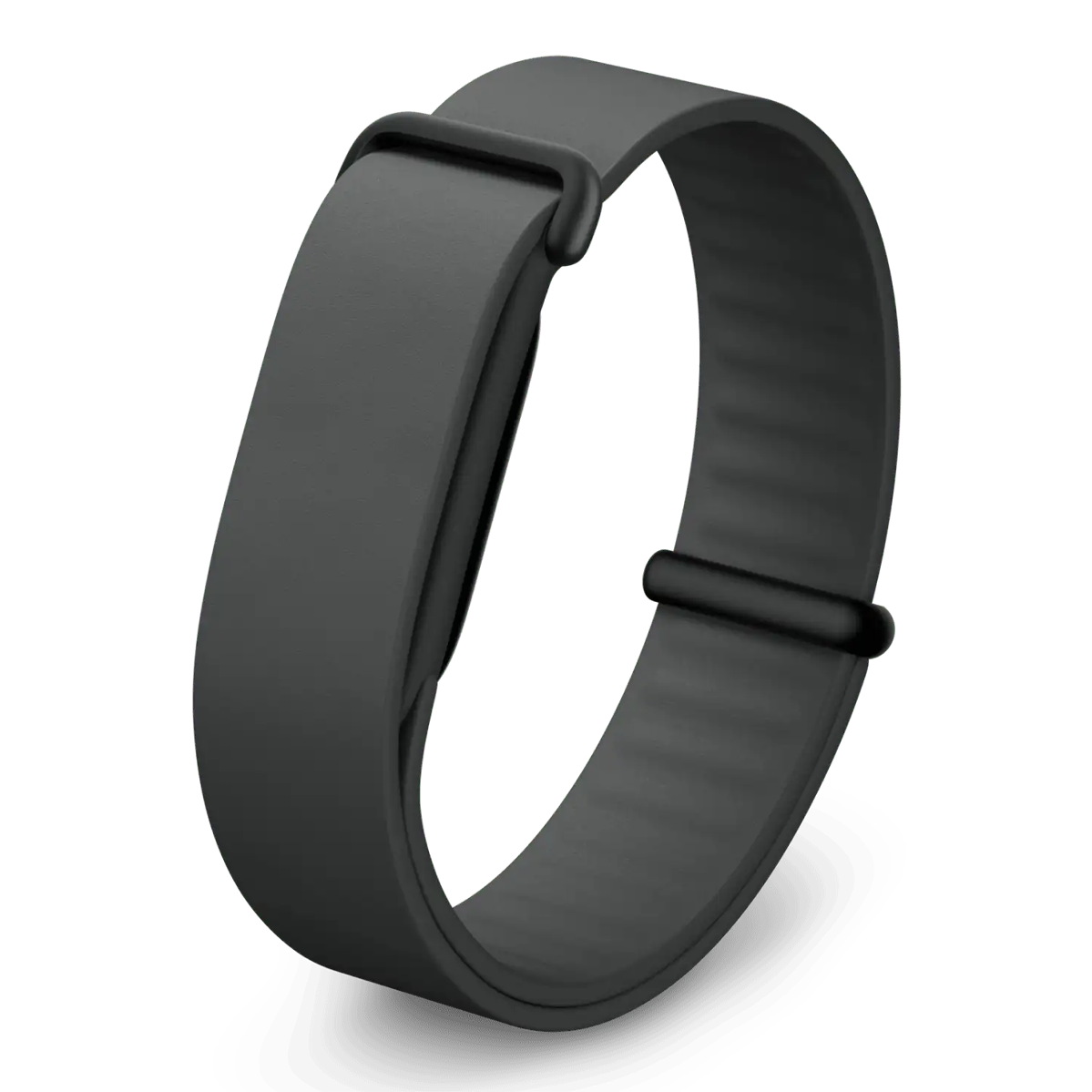 Ремешок Google Elevated Modern Band для Fitbit Air - Obsidian / Matte Black Stainless Steel Clasp (GA11078-WW)