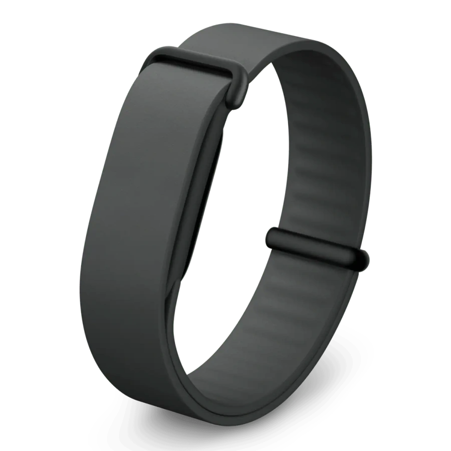 Ремешок Google Elevated Modern Band для Fitbit Air - Obsidian / Matte Black Stainless Steel Clasp (GA11078-WW)