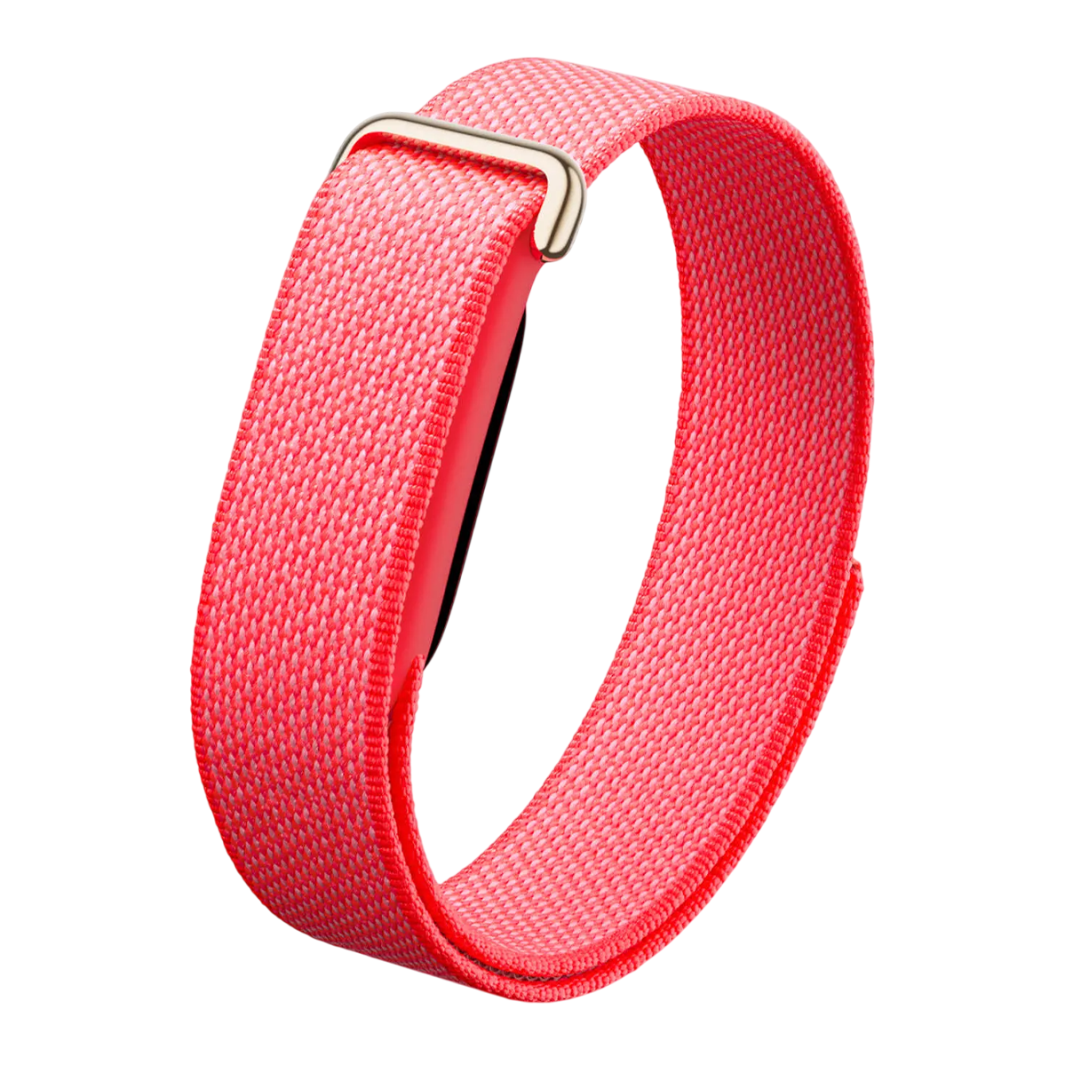 Ремешок Google Performance Loop Band для Fitbit Air - Berry / Polished Champagne Gold Stainless Steel Clasp (GA11068-WW)