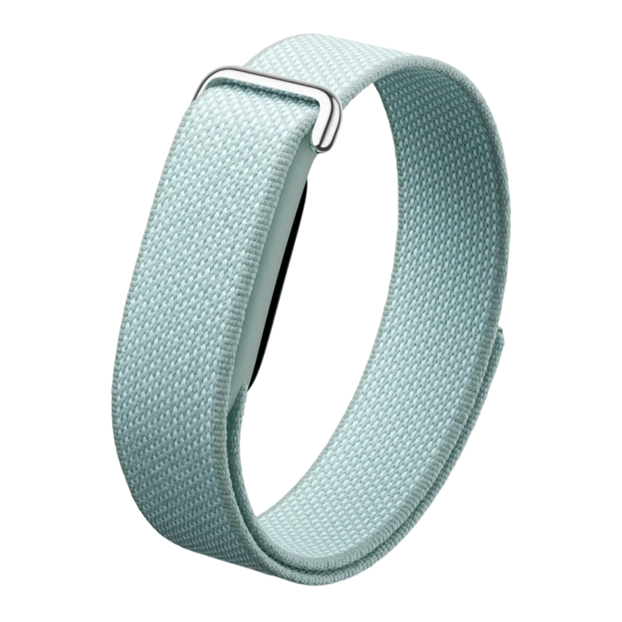 Ремешок Google Performance Loop Band для Fitbit Air - Fog / Polished Silver Stainless Steel Clasp (GA11066-WW)