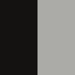Black and Silver