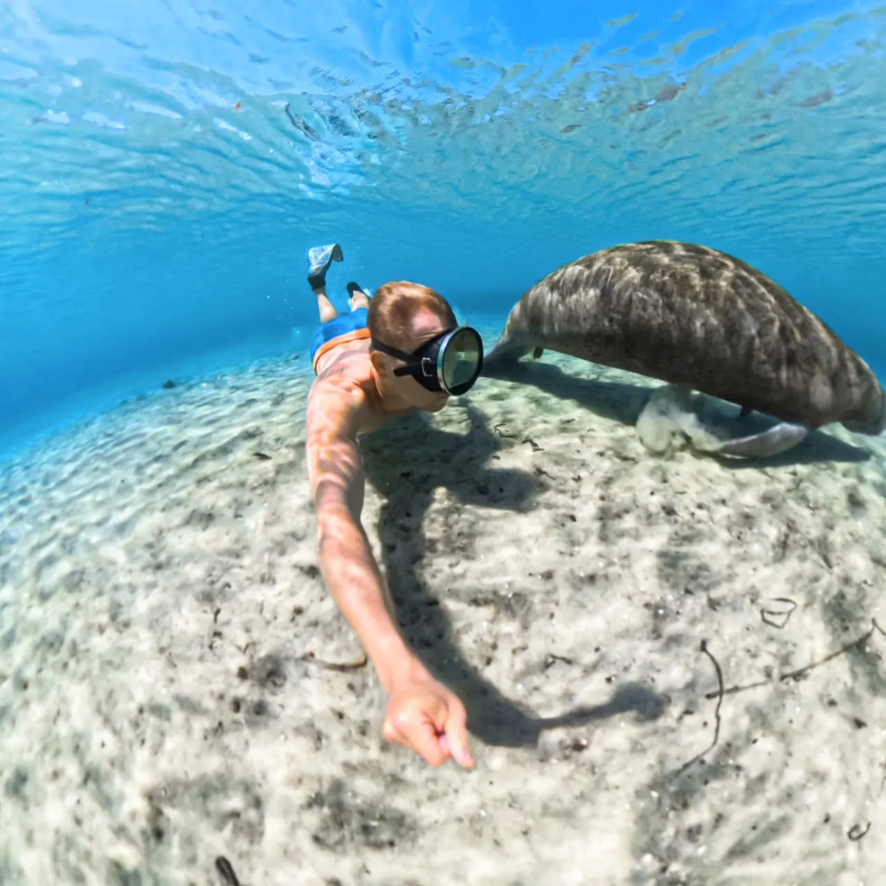 Невидимий кейс для дайвінгу Insta360 X5 Invisible Dive Case (CINSBAHJ)