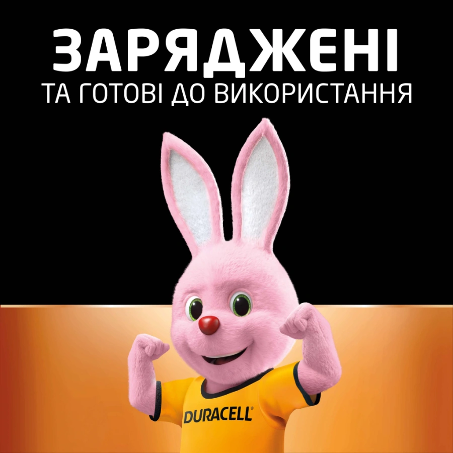 Перезаряджаємі акумулятори Duracell Recharge AA HR6 1300mAh 2 шт (5017767, 5007321)