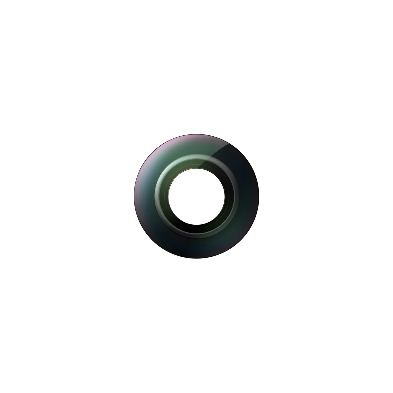 Змінна лінза Insta360 X5 Replacement Lens Kit [Single Lens] (CINSBAHB)