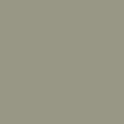 Citron Gray