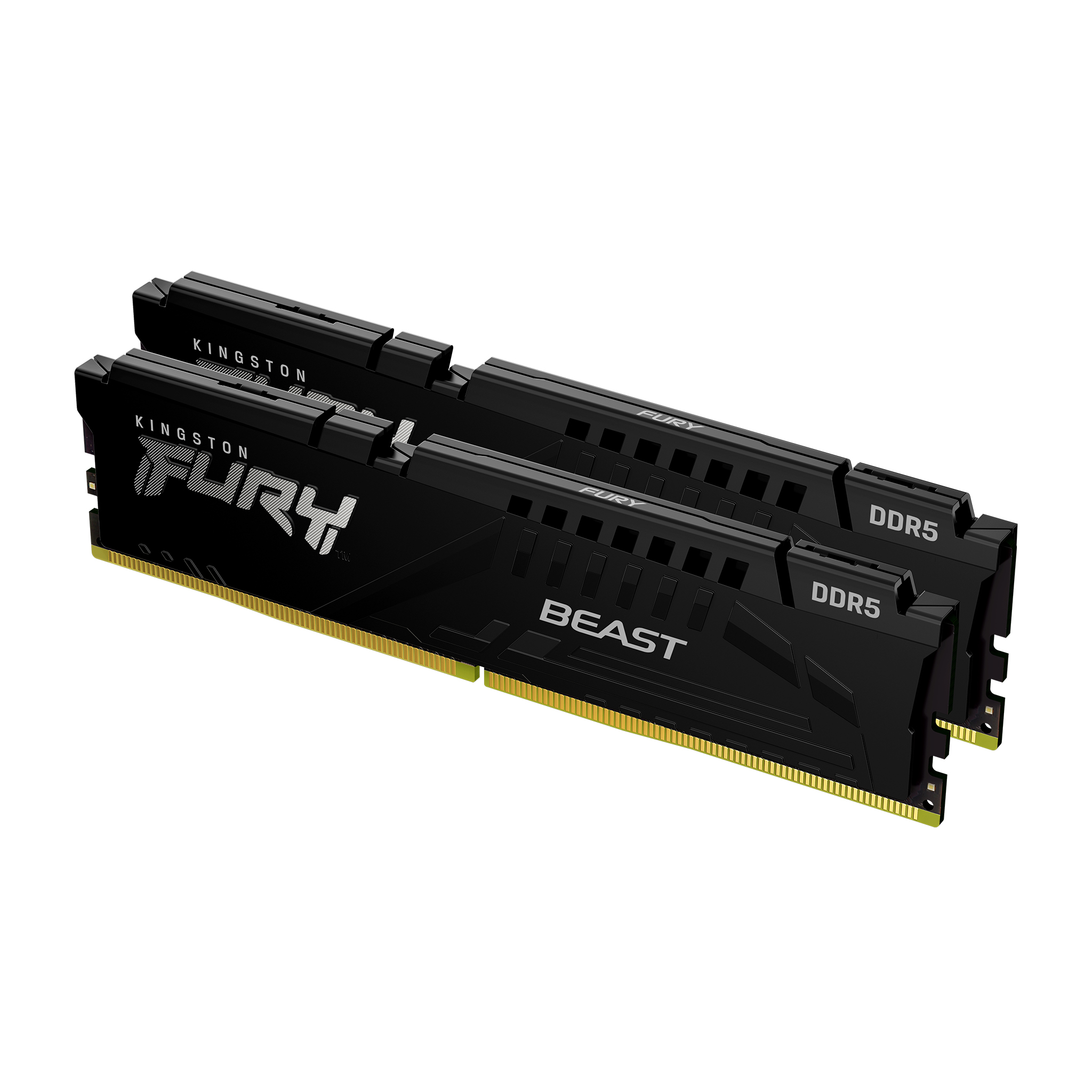 Оперативна пам'ять Kingston FURY Beast DDR5 16GB 2×8GB 6000 MHz CL40 (KF560C40BBK2-16)