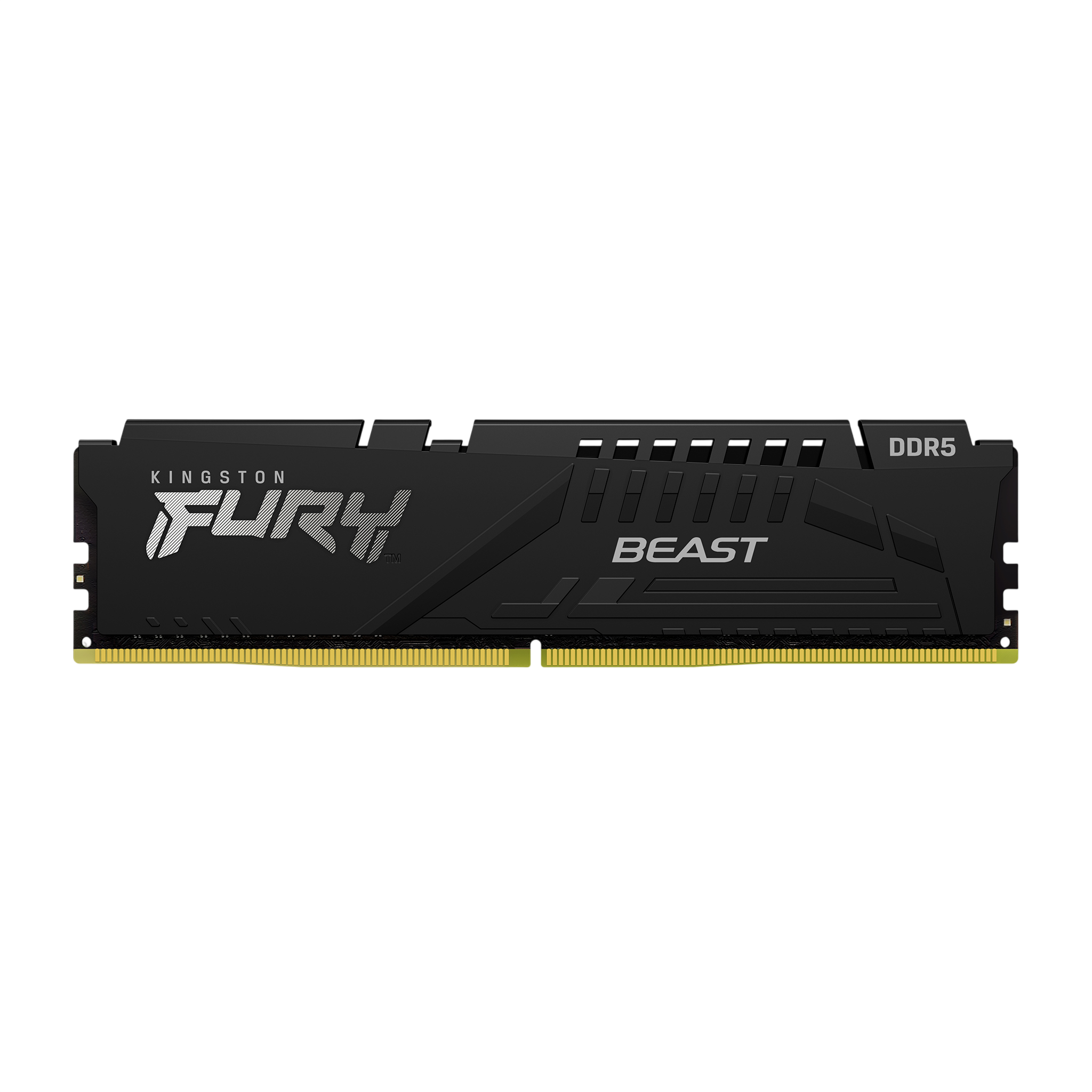 Оперативна пам'ять Kingston FURY Beast DDR5 16GB 2×8GB 6000 MHz CL40 (KF560C40BBK2-16)