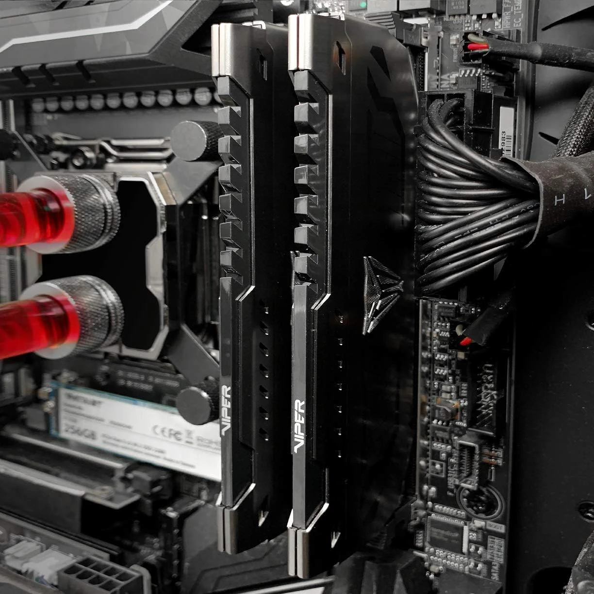 Оперативна пам'ять Patriot Viper Steel DDR4 16GB 2×8GB 3200 MHz CL16 (PVS416G320C6K)
