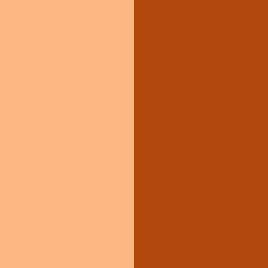 Shell Pink/Autumn Orange