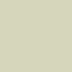 Pale Succulent