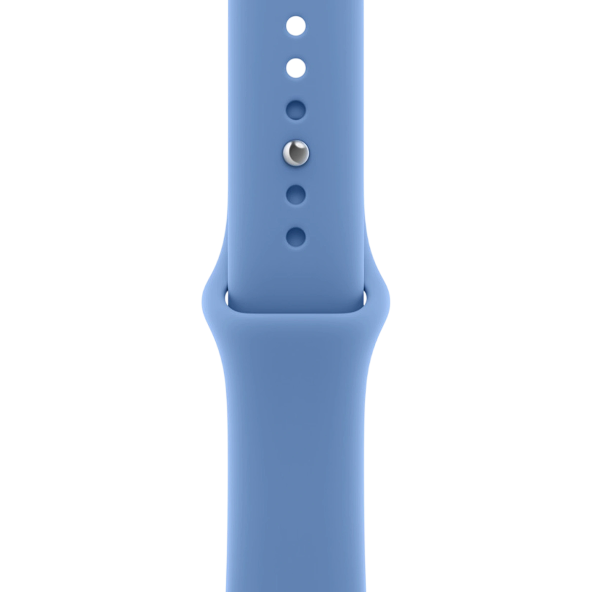 Ремінець Apple Wildflower Blue Sport Band S/M для Apple Watch 38/40/41/42mm (MJUV4, MJVF4)