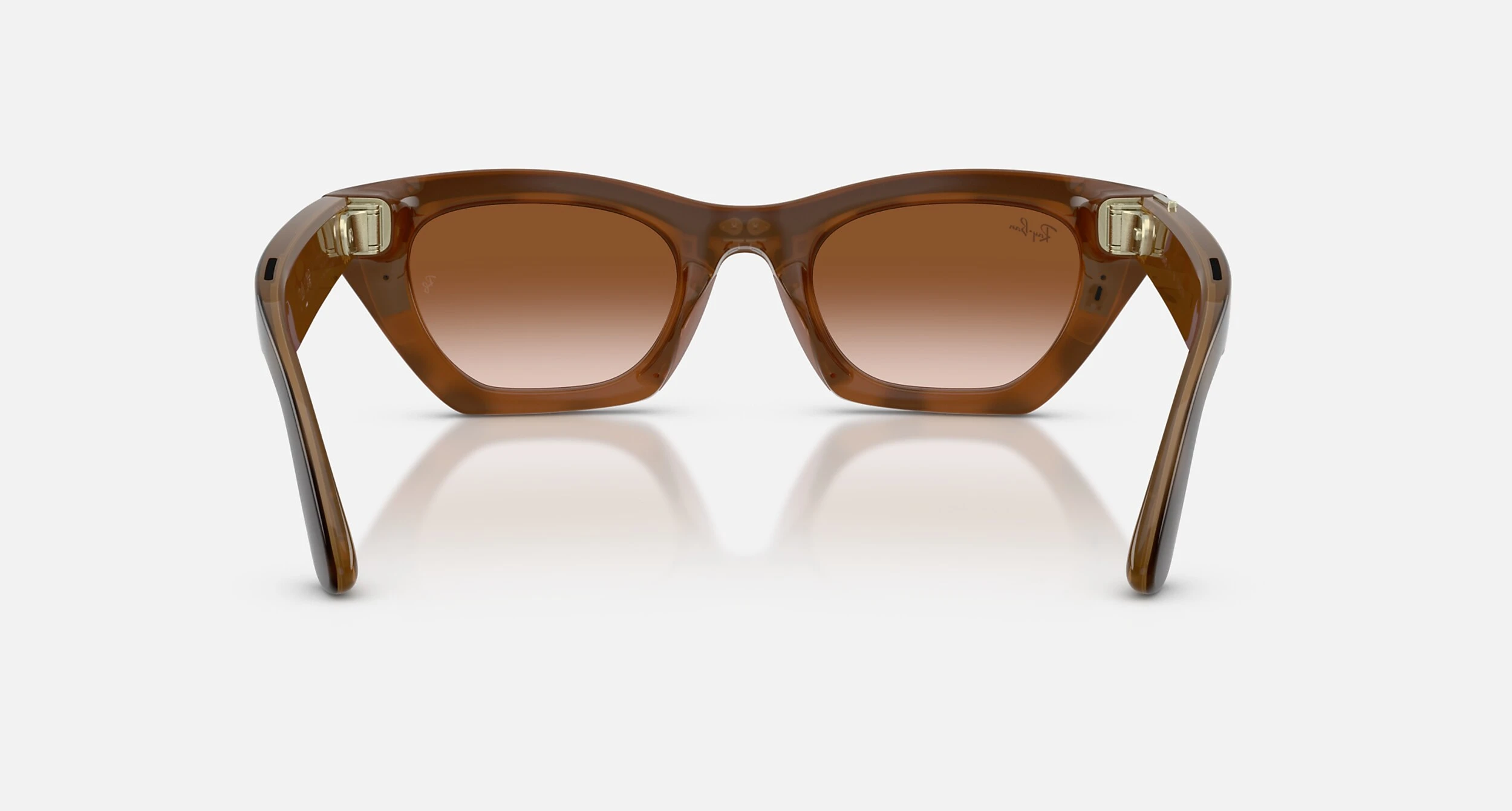 Смарт-окуляри Ray-Ban | Meta Zena [Gen 3] Standard Polished Havana Frame / Gradient Brown Lenses (RW4015 690513 49-22)
