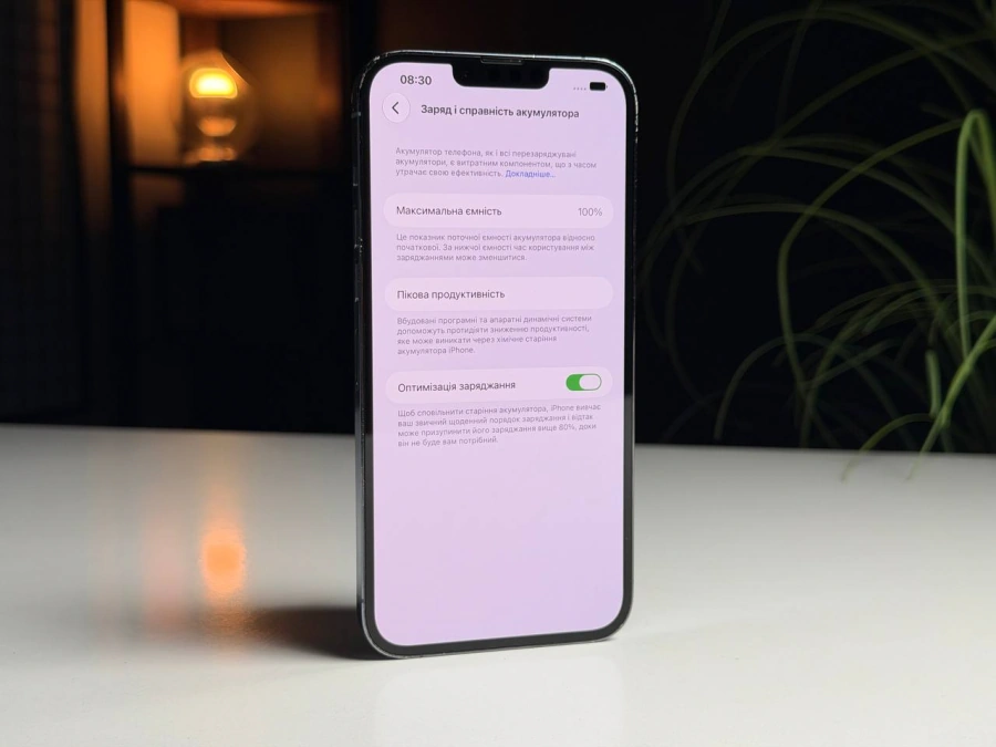 ВЖИВАНИЙ Б/У Apple iPhone 13 Pro Max 1TB Sierra Blue (MLL53, MLLN3) - Состояние: удовлетворительный | Аккумулятор: 100% | Комплектация: iPhone, кабель | Гарантия: 3 мес.