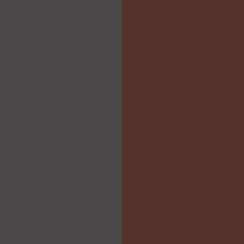 Carbon Gray/Heritage Bronze