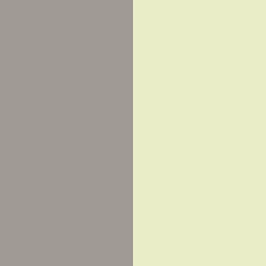 Silver/Citron